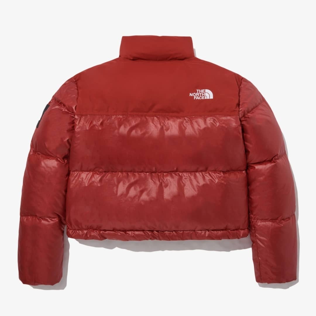 【THE NORTH FACE】🔥秋冬に大活躍！❤️Kendall 同項！ショート・ダウンジャケット■instagramで海外セレブも着用多数！🔥今絶対買うべき！